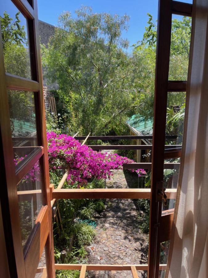 Colonia Suite Apartments Colonia del Sacramento Exteriör bild